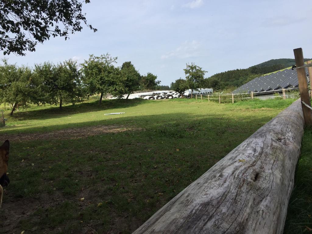 Ferienwohnung Ferienbauernhof Familie Stratmann Eslohe Exterior foto